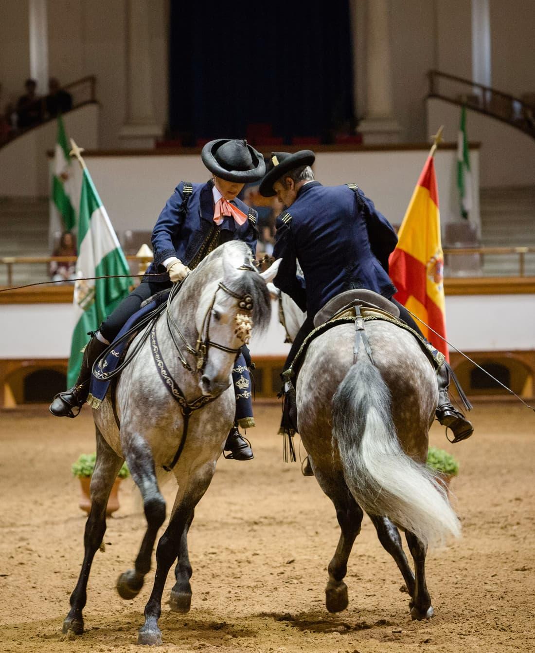 Andalusian horses