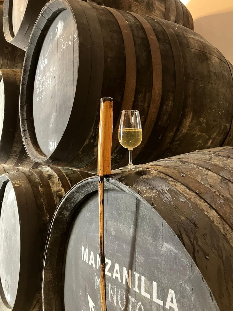 Glasses of chilled manzanilla sherry in a Sanlúcar bodega