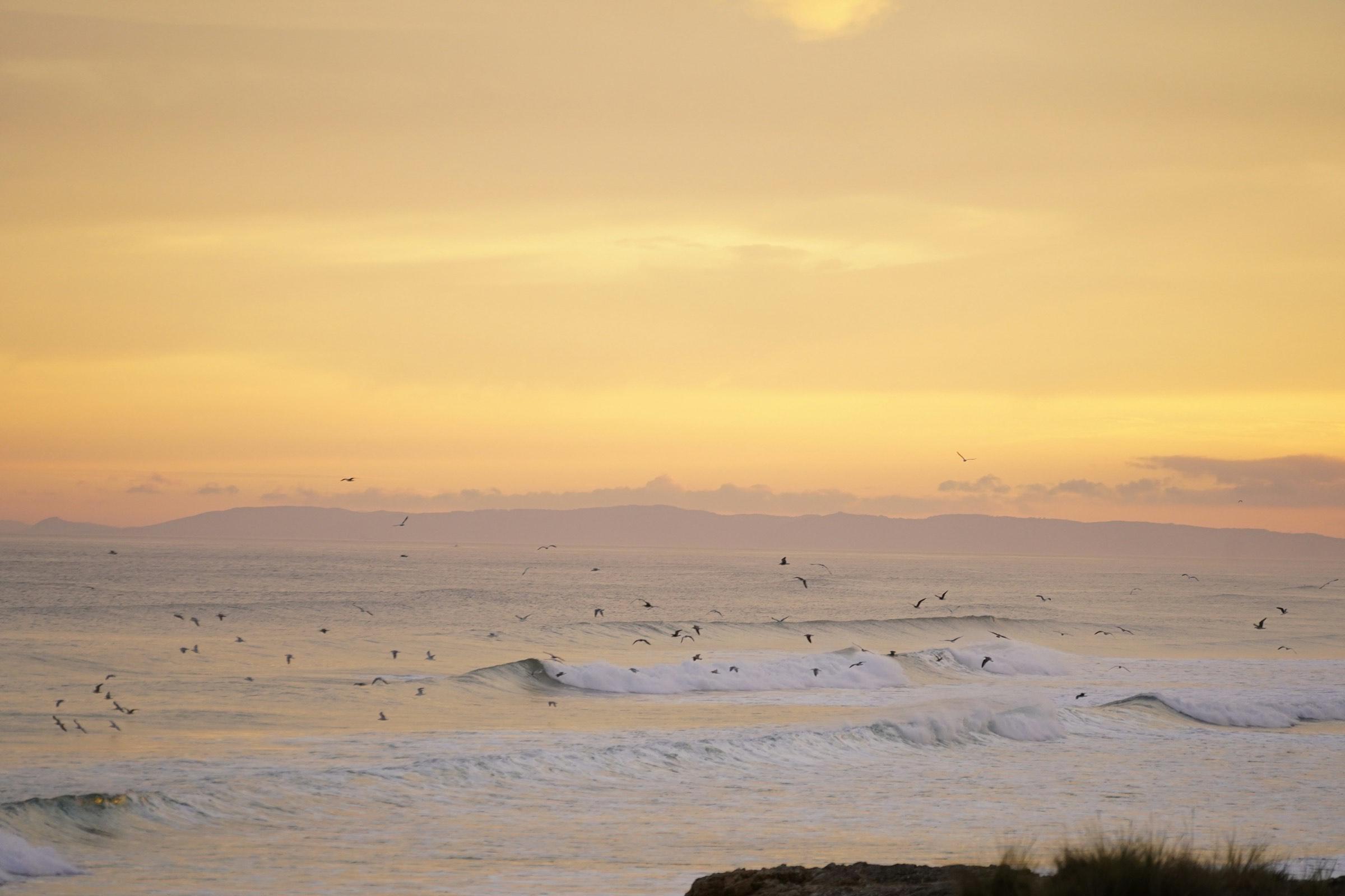Wide empty Atlantic beach at golden hour on the Costa de la Luz
