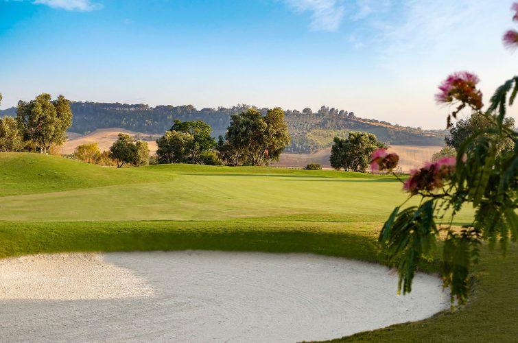 Green van Sherry Golf Jerez met palmen en wijngaarden